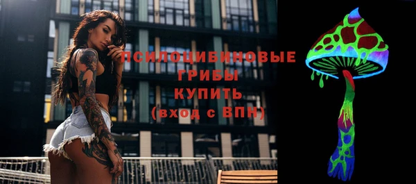 дживик Аркадак