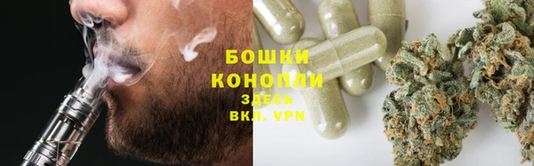 дживик Аркадак