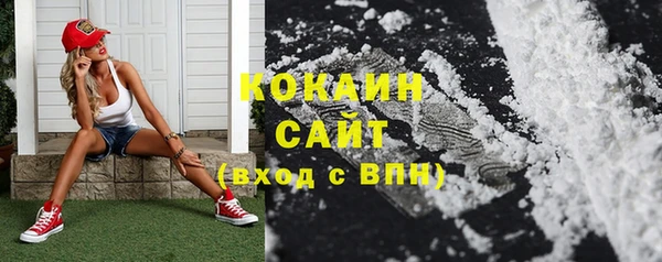 дживик Аркадак