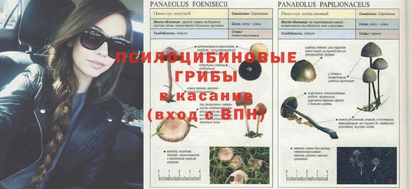 дживик Аркадак